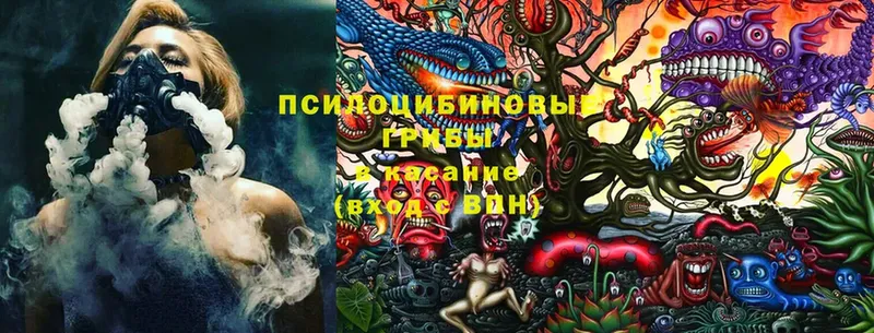 Галлюциногенные грибы Cubensis  даркнет сайт  Искитим 